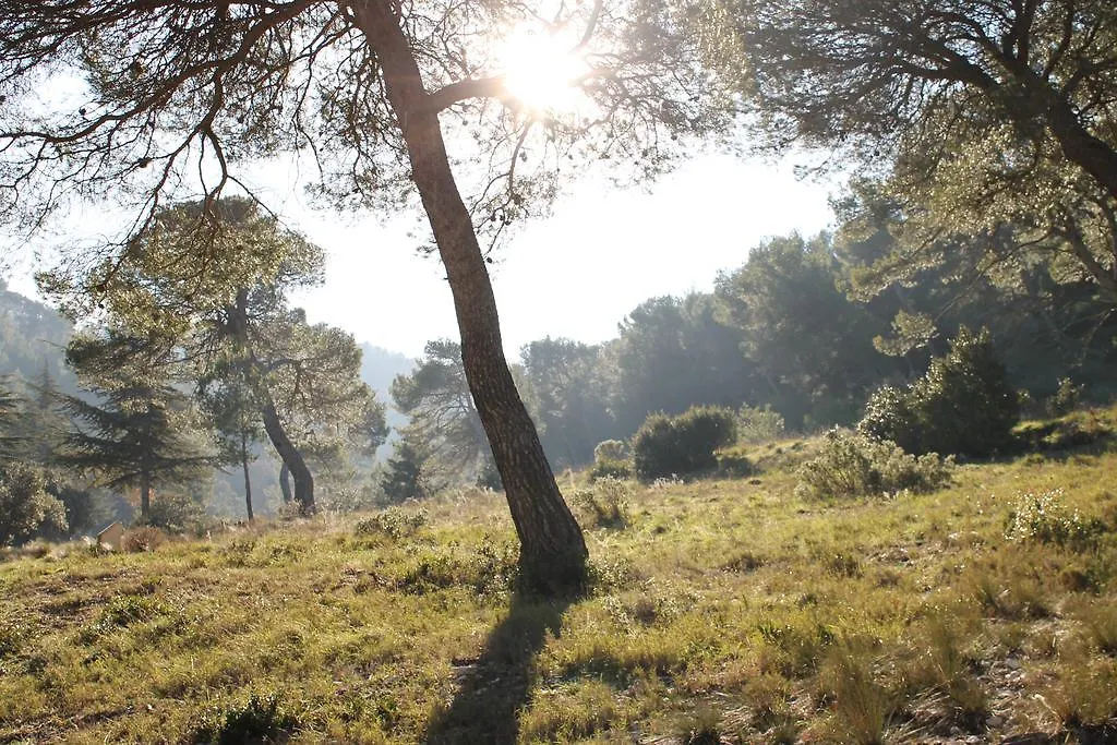 Holiday home Les Mazets De Pascale Hotel Saint-Remy-de-Provence